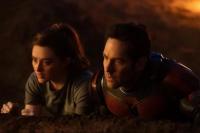 Pekan Pertama Tayang, Ant-Man and the Wasp: Quantumania Raih Box Office Rp1,6 Triliun