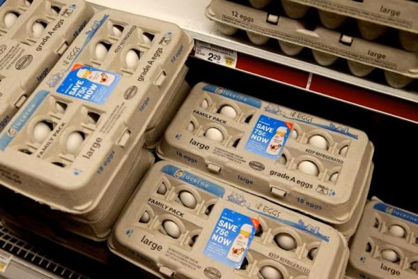 Harga Telur di Amerika Rp 73 Ribu per Lusin, Parlemen Turun Tangan