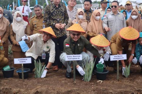 Genjot Ekspor Nasional, Wamentan Resmikan Kawasan Budidaya Nanas Prabumulih