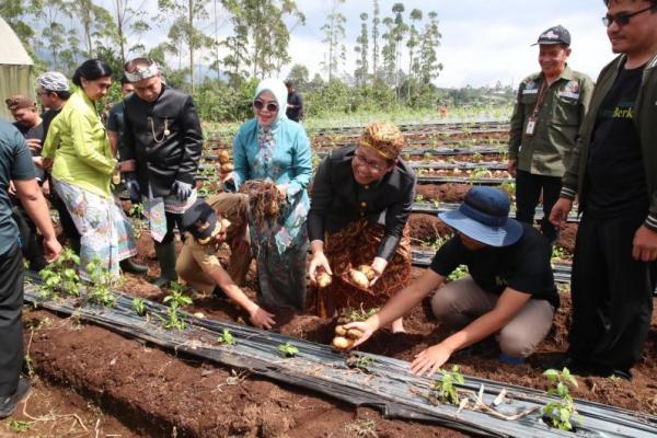 BUM Desa Ekspor ke Singapura, Gus Halim: Desa Butuh Jaringan Pemasaran Produk