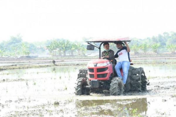 Dengan Alsintan, Panen Raya di Rembang Lebih Menguntungkan Petani