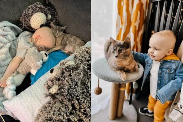 Mengharukan, Kisah Persahabatan Balita Penderita Leukemia dan Bingo Kucing yang Setia