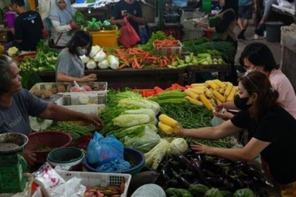 BPS: Kementan Berperan Besar Dalam Peningkatan Luas Panen 2022