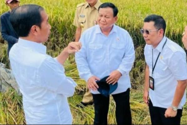 Presiden Sebut Badan Pangan Segera Umumkan Harga Baru GKP