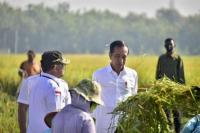 Presiden Jokowi Didampingi Mentan SYL Panen Raya Padi di Ngawi