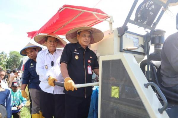 Kementan Panen Padi Nusantara di Parigi Moutong