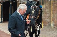 Raja Charles Menerima Kuda Baru dari Royal Canadian Mounted Police