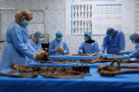 Dua Dekade Setelah Kejatuhan Saddam, Warga Irak Masih Dihantui Orang Hilang