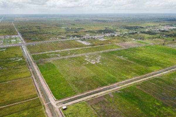 Food Estate Kapuas dan Pulang Pisau Berproses dengan Baik