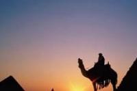 Buah Manis dari Keimanan dan Kesalehan Diri   