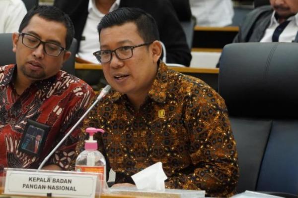 NFA Pastikan Impor Beras Tak Jatuhkan Harga di Tingkat Petani