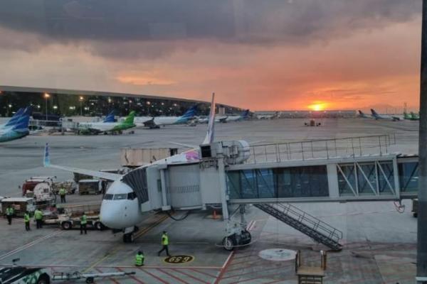 Selama 2024 Tidak Baik, Ini Harapan INACA Industri Penerbangan Tahun 2025