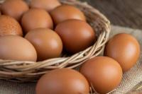 Jelang Lebaran, Pemerintah Salurkan Bantuan Telur dan Daging Ayam 