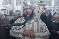 Kucing Lompat ke Bahu Imam yang Pimpin Shalat Tarawih dan Menciumnya dengan Kasih Sayang