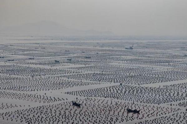 Ketegangan Berkobar di Taiwan, Nelayan China Khawatirkan Mata Pencaharian