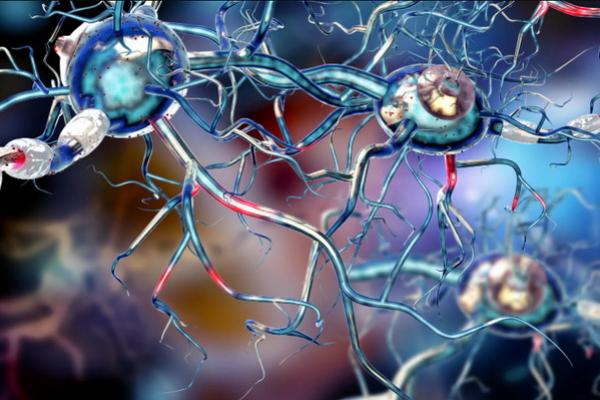 13 April Hari Kesadaran FND Internasional, Dukung Pasien dan Penelitian untuk Pengobatan