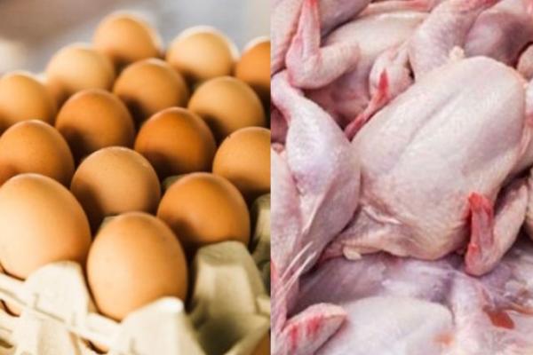 Besok, Pemerintah Mulai Salurkan Bansos Telur dan Daging Ayam