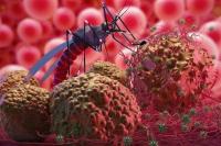 25 April Hari Malaria Sedunia, Temuan Obat Bisa Selamatkan Nyawa Puluhan Ribu Anak