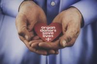 28 April Donate Life Blue and Green Day, Donorkan Organ Tubuh pada Individu yang Membutuhkan