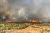 Militer Kanada Dikerahkan Bantu Perangi 100 Kebakaran Hutan Alberta