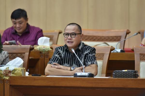 Kalah di WTO, DPR: Program Hilirisasi Industri Harus Dilanjutkan