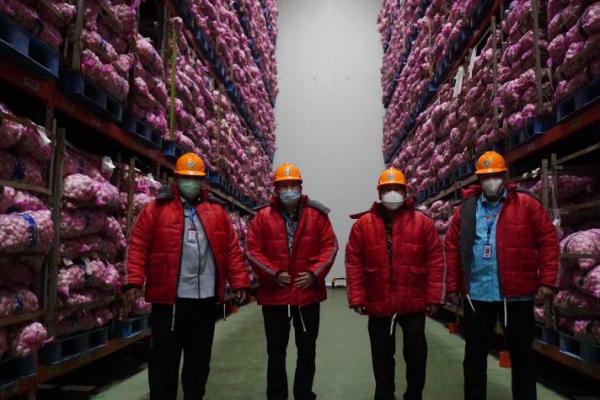 Redam Dinamika Harga, Pemerintah Percepat Impor Bawang Putih