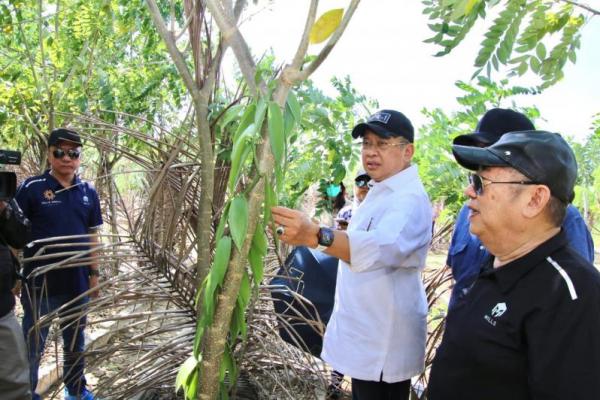 Bamsoet Dukung Perkebunan-Pembibitan Vanili di Tanjung Lesung