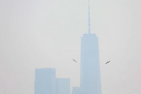 Asap dari Kebakaran Hutan Kanada Memicu Peringatan Kesehatan di New York