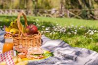 Ilustrasi - piknik (Foto: 365DAYS)