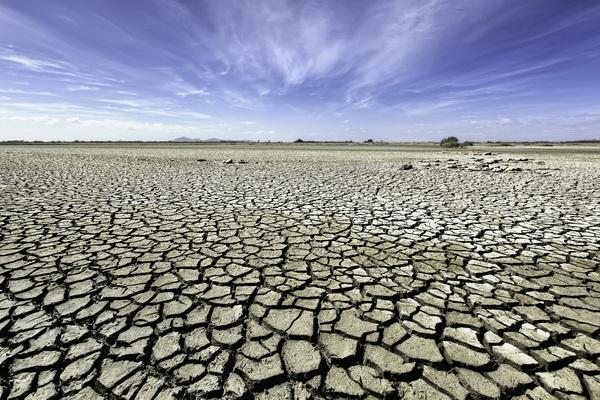 17 Juni Hari Dunia Perangi Desertifikasi dan Kekeringan, Reklamasi Lahan Jadi Lingkungan Sehat