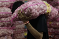 Mohon Perhatian,  Mafia Bawang Putih Bisa Dijerat dengan UU Perdagangan