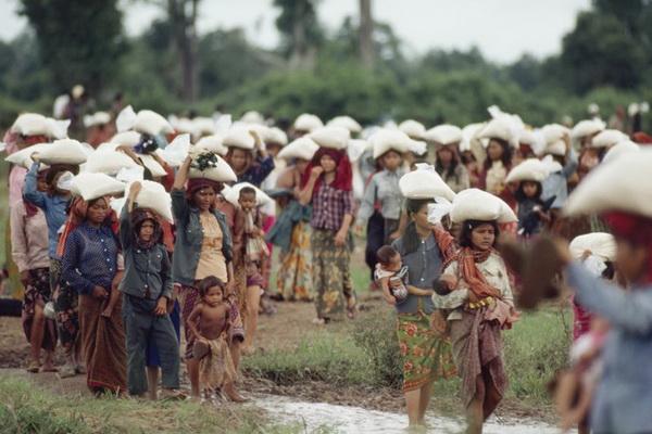 Arus Global Pengungsi Dunia Capai 35 Juta, Ini Tiga Negara Terbanyak