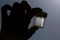 Amerika Deteksi Kasus Malaria Pertama dalam 20 Tahun di Florida dan Texas