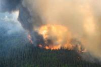 Kebakaran Hutan Kanada Meningkat Tetapi Sulit Merekrut Petugas Pemadam