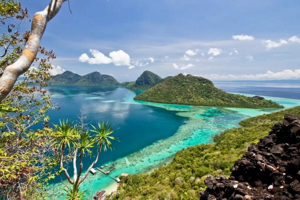29 Juni Hari Tropis Internasional, Kawasan Indah Tapi Rentan dengan Penggundulan Hutan