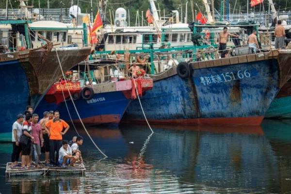 Topan Doksuri Tiba di China, Tumbangkan Tiang Listrik dan Pohon