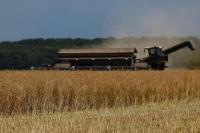 Rusia Mundur dari Kesepakatan Ekspor, Petani Ukraina Khawatirkan Masa Depan