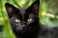 Masih Percaya Takhayul? Simak Tanggapan Islam Berikut Ini