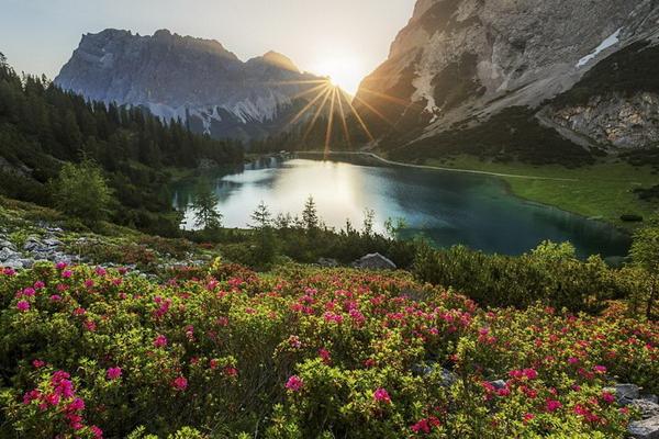 28 Juli Hari Pelestarian Alam Sedunia, Selamatkan Tumbuhan dan Satwa yang Terancam Kepunahan