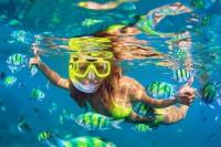 30 Juli Hari Snorkeling Sedunia, Ayo Tamasya Melihat Keindahan Bawah Laut dari Dekat