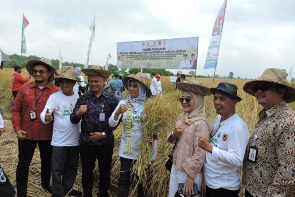 Kemendes Ajak Petani Barito Kuala Budidayakan Padi Organik