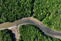 KTT Negara-negara Amazon Hadapi Perpecahan soal Minyak dan Penggundulan Hutan