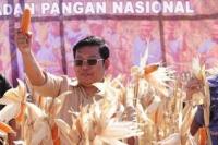 Kuatkan CJP,  NFA Tugaskan Bulog Serap 250 Ribu Ton Jagung