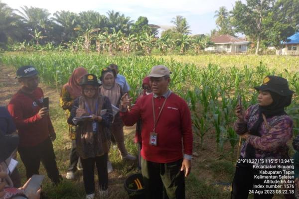 Genjot Produksi Pangan, Kementan Latih Penyuluh Pertanian Produksi Biotron
