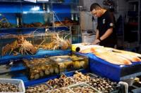 China Larang Impor Makanan Laut dari Jepang, Rusia Berharap Jadi Pengganti
