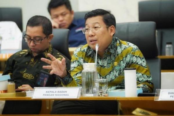 Kepala NFA Paparkan Strategi Amankan Pangan Kala El Nino