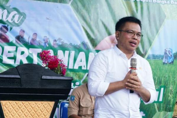 NFA Jamin Pemerintah Konsisten Serap Beras Dalam Negeri