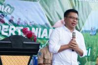 NFA Jamin Pemerintah Konsisten Serap Beras Dalam Negeri