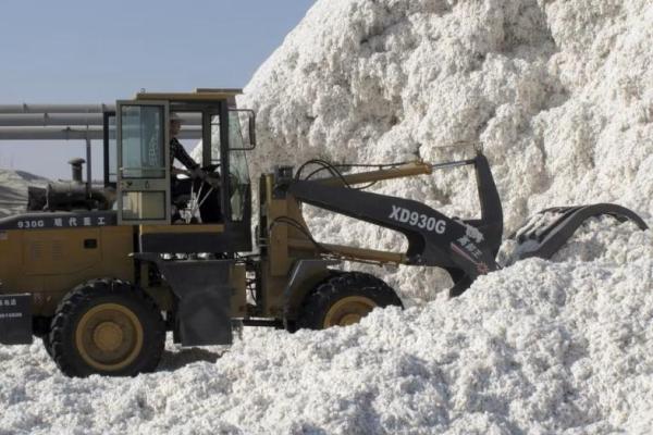 Bea Cukai AS Temukan Pakaian yang Terbuat dari Kapas China yang Dilarang