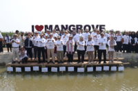 Gandeng Kemenko Marves, Harita Nickel Ajak Anak Muda Peduli Mangrove